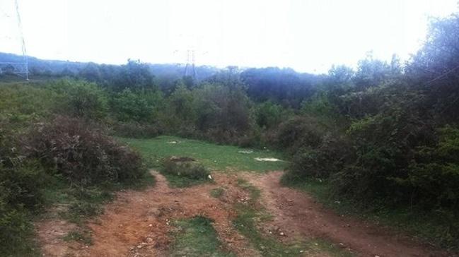 Saryer'de ormanlk alanda yanm ceset bulundu