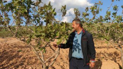 Siirt fstk reticileri 6 bin TL'ye alacak eleman bulamyor