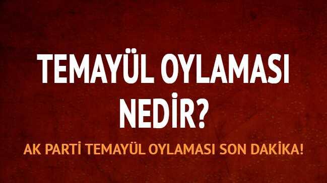 Temayl yoklamas nedir"