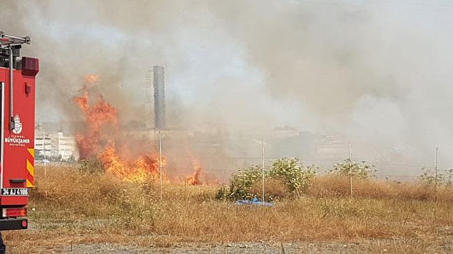  stanbul Avclar'da E-5 kenarnda buday ekinlerinin olduu bo arazide yangn kt