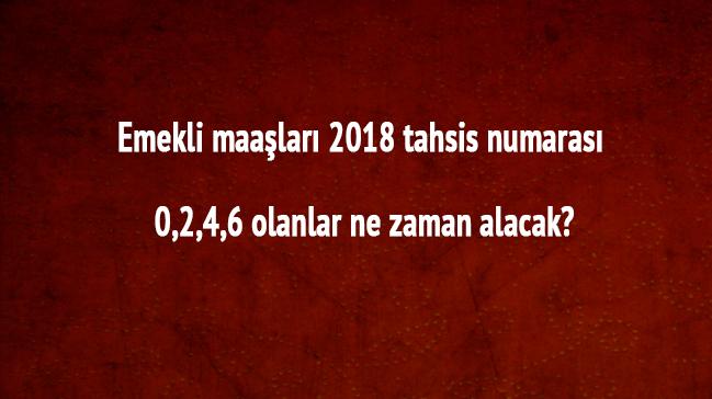 2018 Bayram ikramiyesi emekli maa son dakika tahsis numaras 0,2,4,6 olanlar ne zaman alacak"