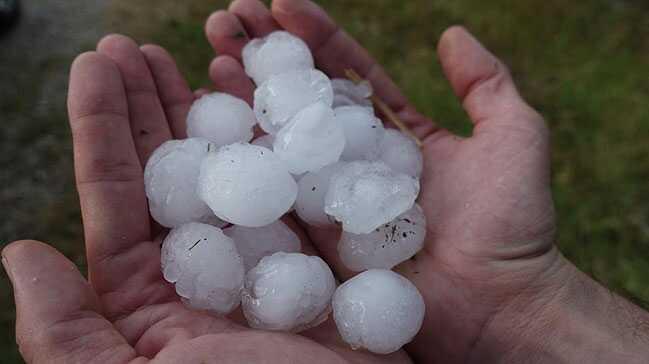 Krklareli'nde ceviz byklnde dolu yad