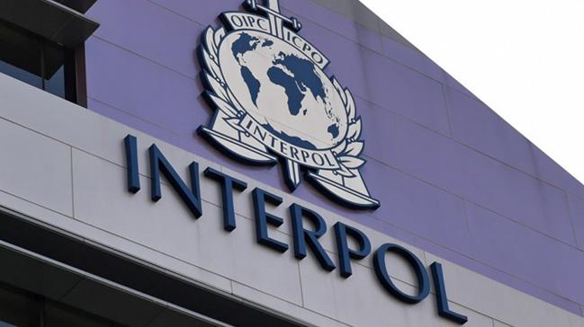 Interpol'den yaban hayat kaaklarna operasyon
