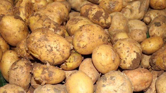 Rekabet Kurumunca, patates ve soan fiyatlarndaki art eiliminin takip edildii bildirildi