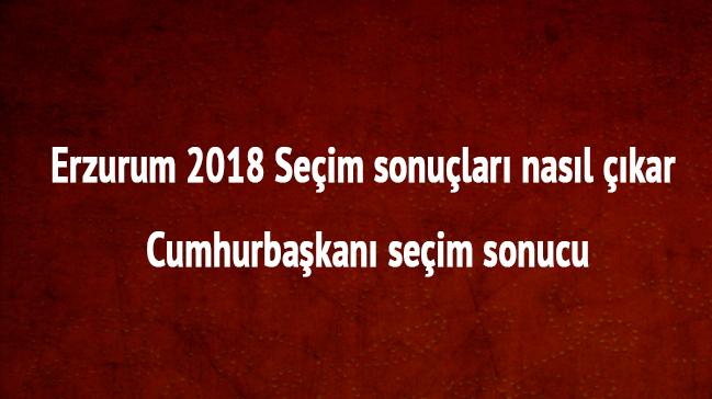 Erzurum 24 Haziran 2018 seim sonular oy oranlar Erzurum cumhurbakan seim sonucu 