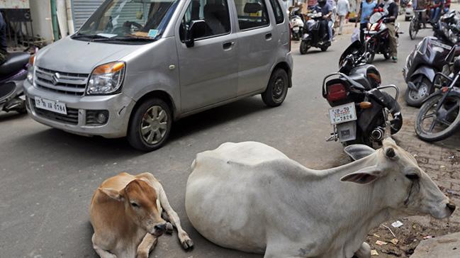 Hindistan'da bir Mslman daha inek yznden lin edildi