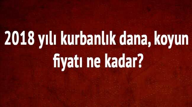 0 fotoraflar resimleri