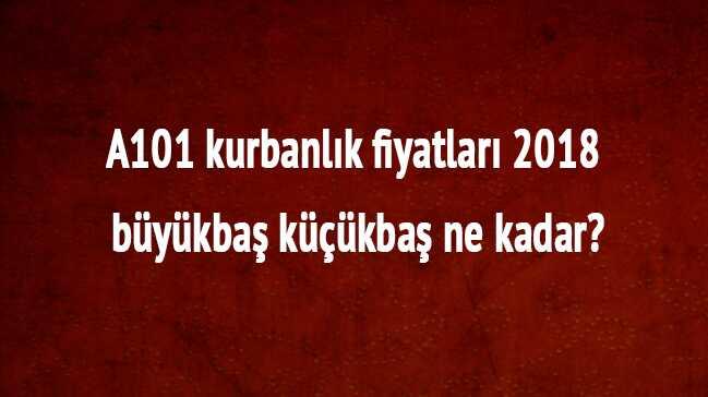 0 fotoraflar resimleri