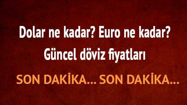 11 Austos Dolar ve Euro fiyatlar...