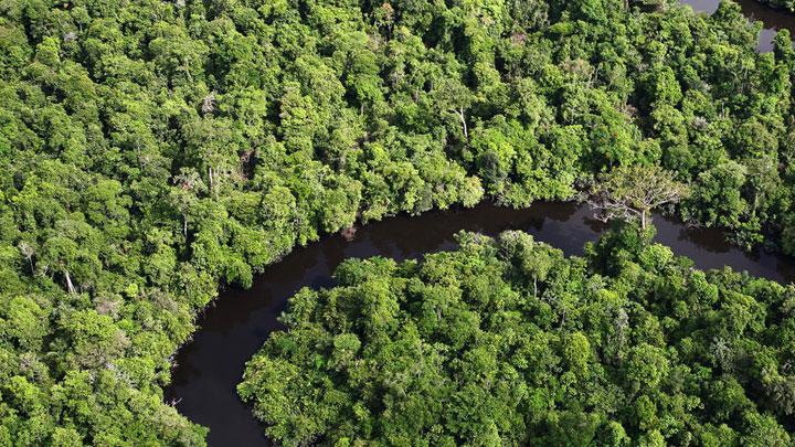Amazonlar'da kuraklk karbon emilimini tersine eviriyor 