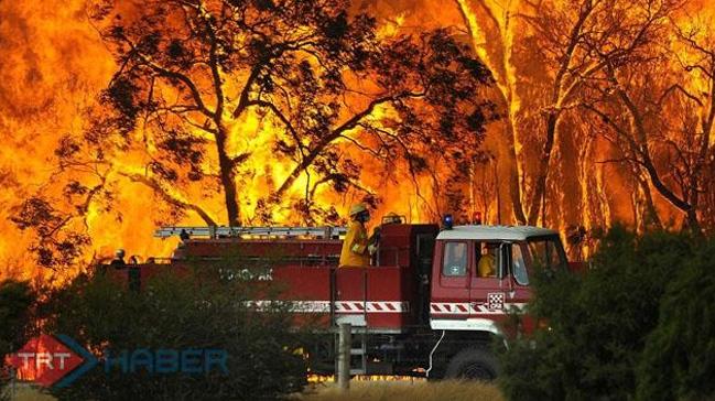 Avustralya'daki orman yangnlar yerleim yerlerini tehdit ediyor