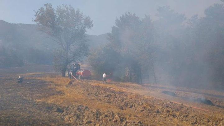 Bolu'daki 15 hektarlk alanda kan yangn kontrol altna alnd