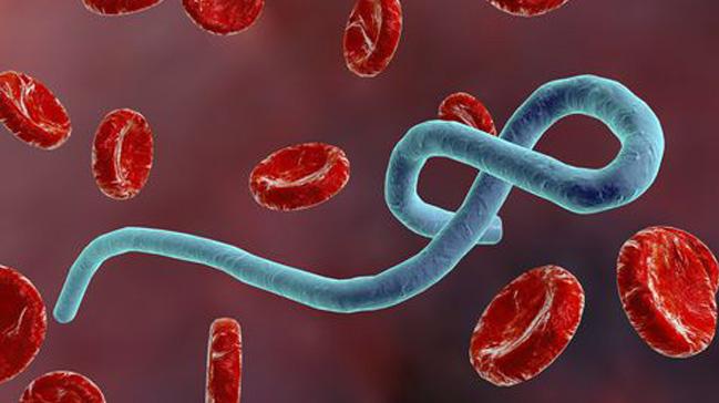 Kongo Demokratik Cumhuriyeti'ndeki Ebola salgn: lenlerin says 23'e ykseldi