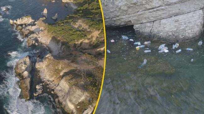 ile - Ava Kilimli Koyunu mahvedip yle gittiler
