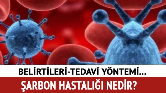 arbon hastal belirtileri nedir"