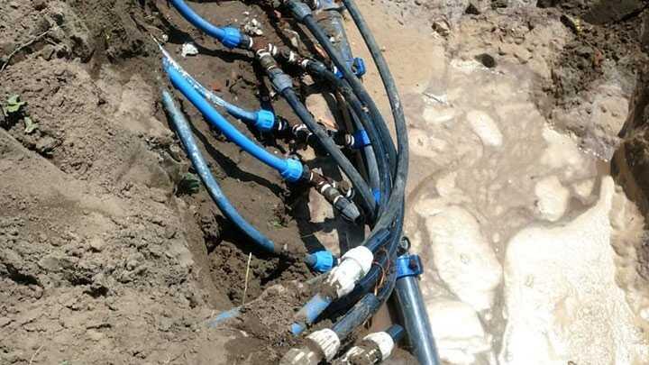 SASK tarafndan Karasu ilesinde 827 kaak balant tespit edildi