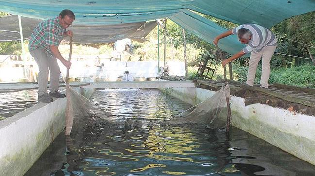 Baraj ve kaynak suyunda ylda 150 ton balk retiyor