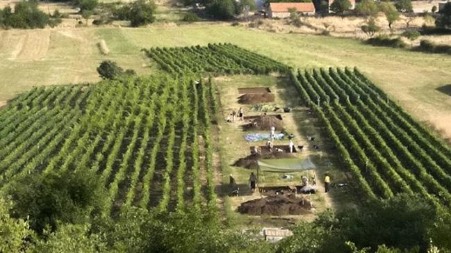 'Dnyann en eski peyniri' Hrvatistan'da bulundu