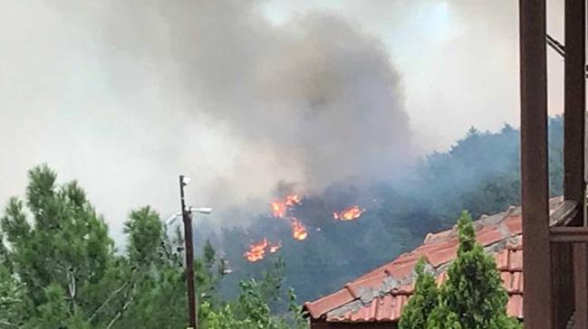 Hatay'da korkutan orman yangn 