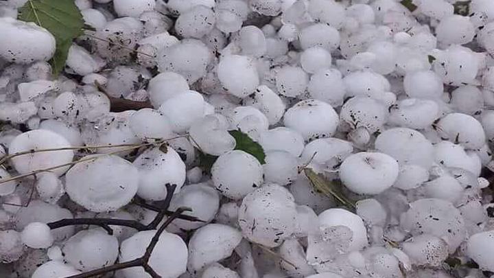 Ordu'da ceviz byklnde dolu yad 