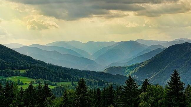 Yeni harita orman kayplarnn nedenini ortaya koyuyor