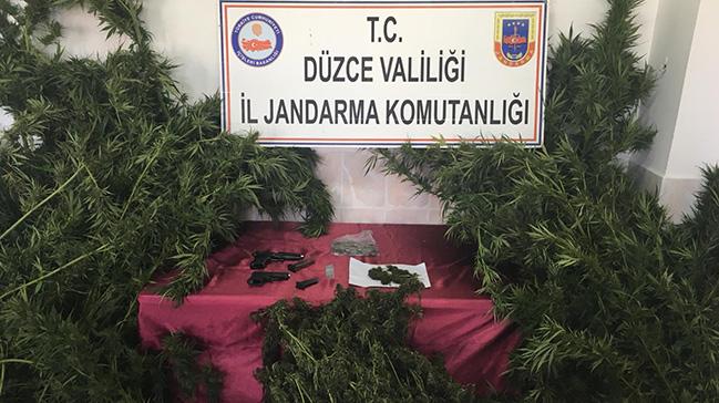 Dzce'de 5 kilo 781 gram esrar ele geirildi, olayla ilgili 2 kii tutukland 