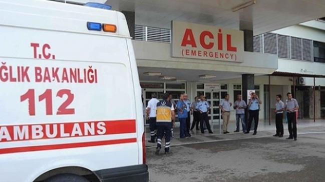 Denizli'de ceviz aacndan den ahs ld