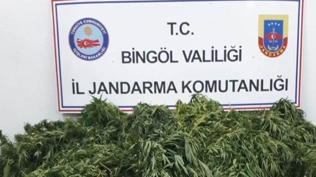 Bingl'de 158 kilo uyuturucu ele geirildi