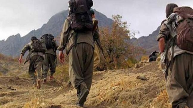 Karadeniz'de 9 ayda PKK'ya byk darbe vuruldu