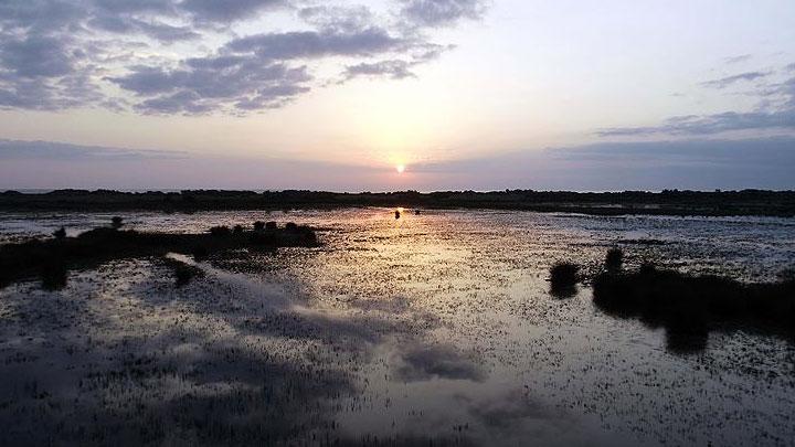 Kzlrmak Deltas Ku Cenneti UNESCO yolunda 