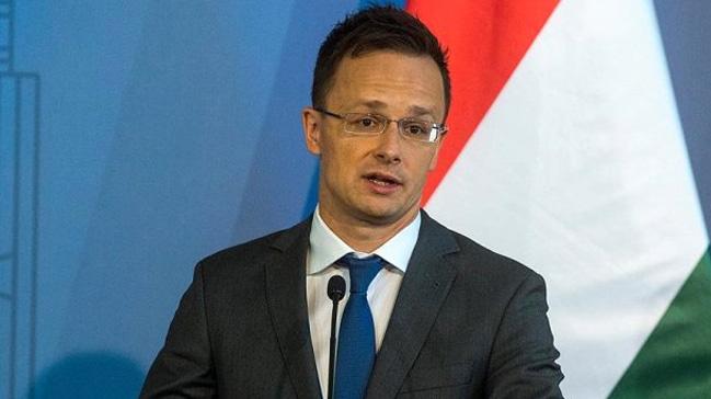 Macaristan'dan Almanya Cumhurbakan Steinmeier'e tepki: Macarlarn verdii karar kabullenemiyorlar
