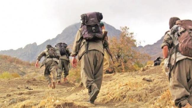 Lice'de bir PKK'l terrist etkisiz hale getirildi