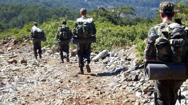 Diyarbakr'n Lice ve Hani ilelerinde terr rgt PKK'ya ynelik operasyon balatld