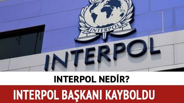 Interpol Bakan son dakika kayboldu! Interpol nedir ne demek, bakan kimdir"