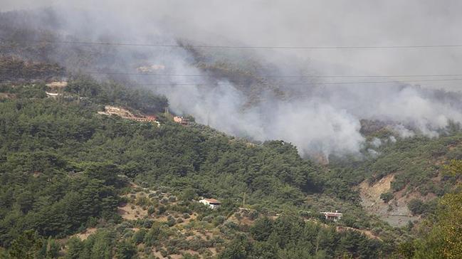 Hatay'da kan orman yangnnda bir hektarlk alan zarar grd   