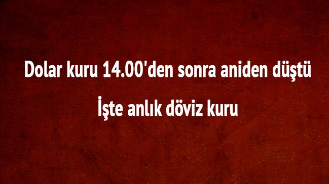 Dolar/TL saat 14.00'dan sonra aniden dt kurda son durum nedir