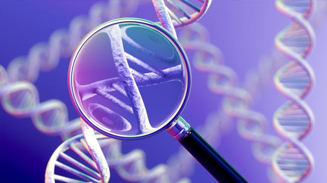 DNA ile ikiz doumlar arasndaki iliki zld
