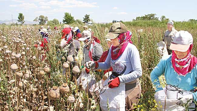 Krsaldaki kadnlar iin tarla kreleri ve bakmevi geliyor