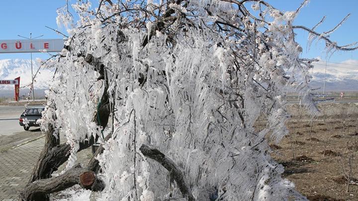 Meteoroloji tarmla uraan vatandalar zirai don konusunda uyard