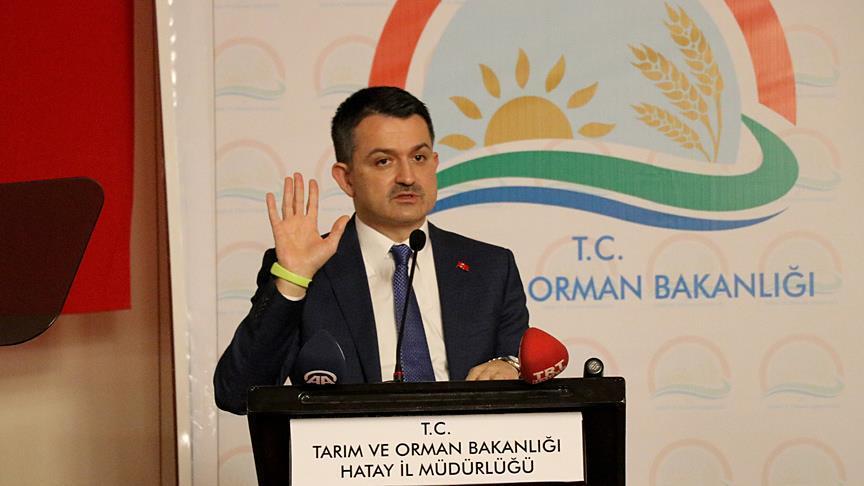 Tarm ve Orman Bakan Pakdemirli'den 'destek' aklamas