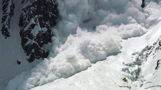 Yeni Zelanda'da  dmesi sonucu iki dac ld