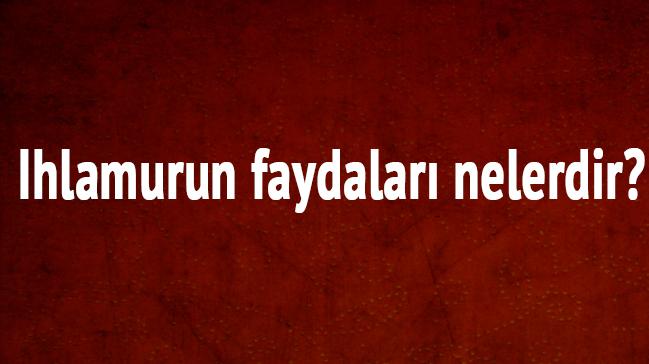 Ihlamur neye iyi gelir Ihlamurun faydalar nelerdir"