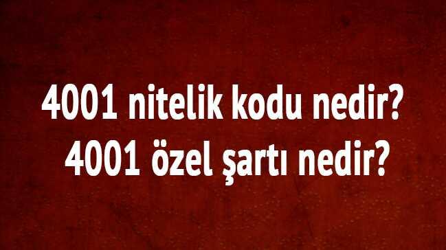 KPSS tercih klavuzu nitelik kodu Ortaretim, nlisans, Lisans 4001 nitelik kodu SYM 4001 zel art 