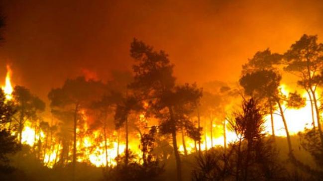 California'daki orman yangnlar 5 can ald, 150 binden fazla kiiye tahliye emri verildi