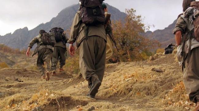 anlurfa'da terr rgt PKK/PYD mensubu bir terrist yakaland