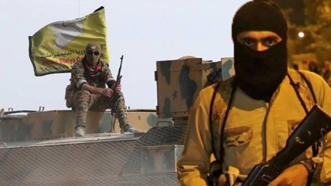 Terr rgt PKK/YPG, DEA elebasn 1 milyon lira karlnda serbest brakt
