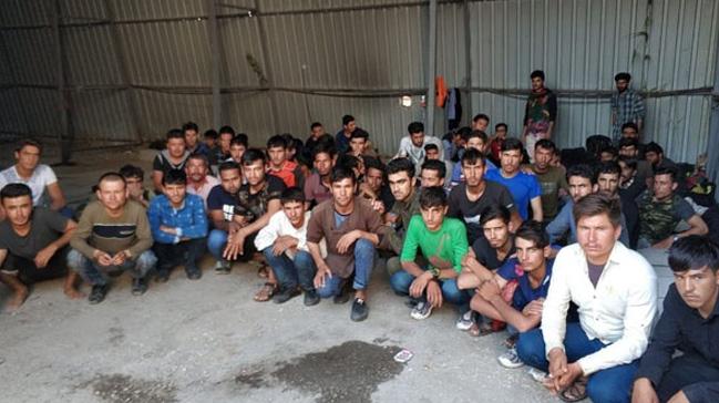 Edirne'de 481 dzensiz gmen yakaland