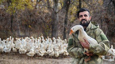 Arad ii bulamaynca kaz iftlii kurdu