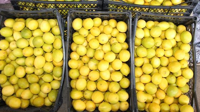 Limon ihracatnda yzler glyor