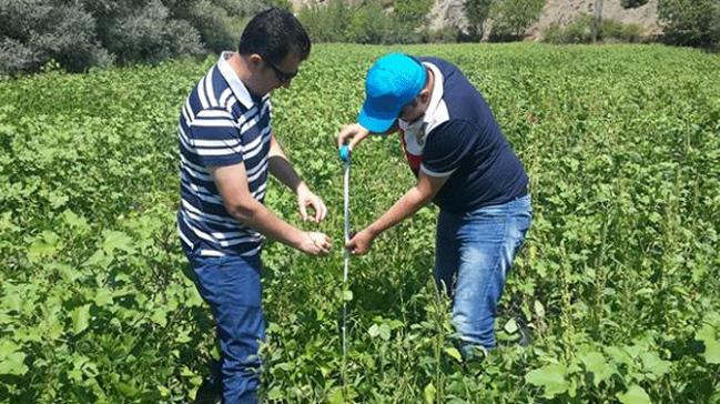 Giresun'un kuru fasulyesi corafi iaret belgesi ald